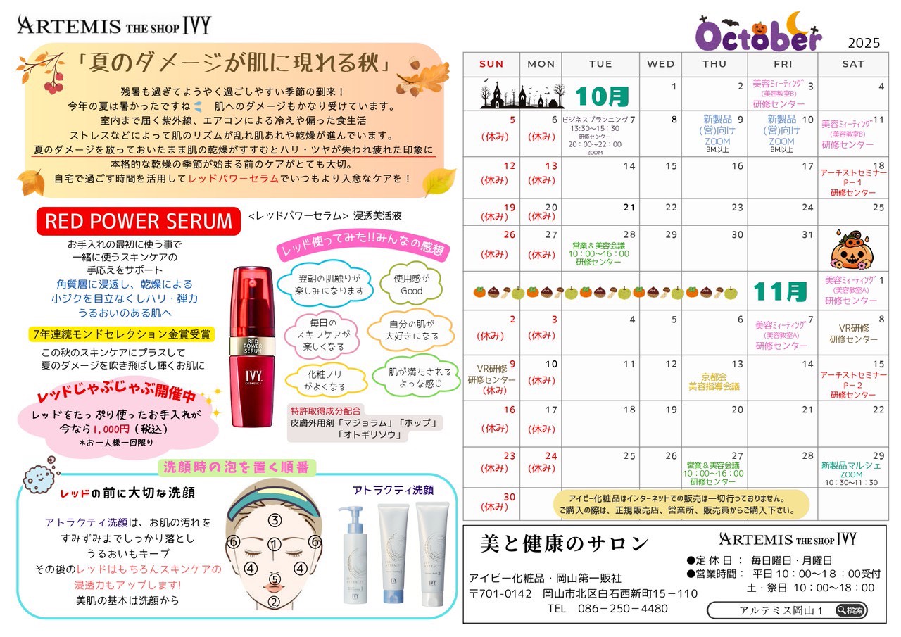 10月のアイビーニュースの画像