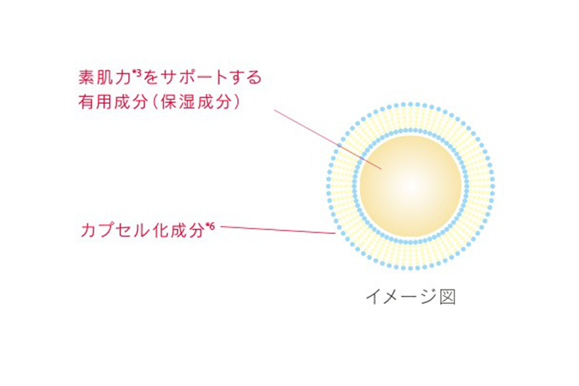 サーキュレーションカプセルの説明図