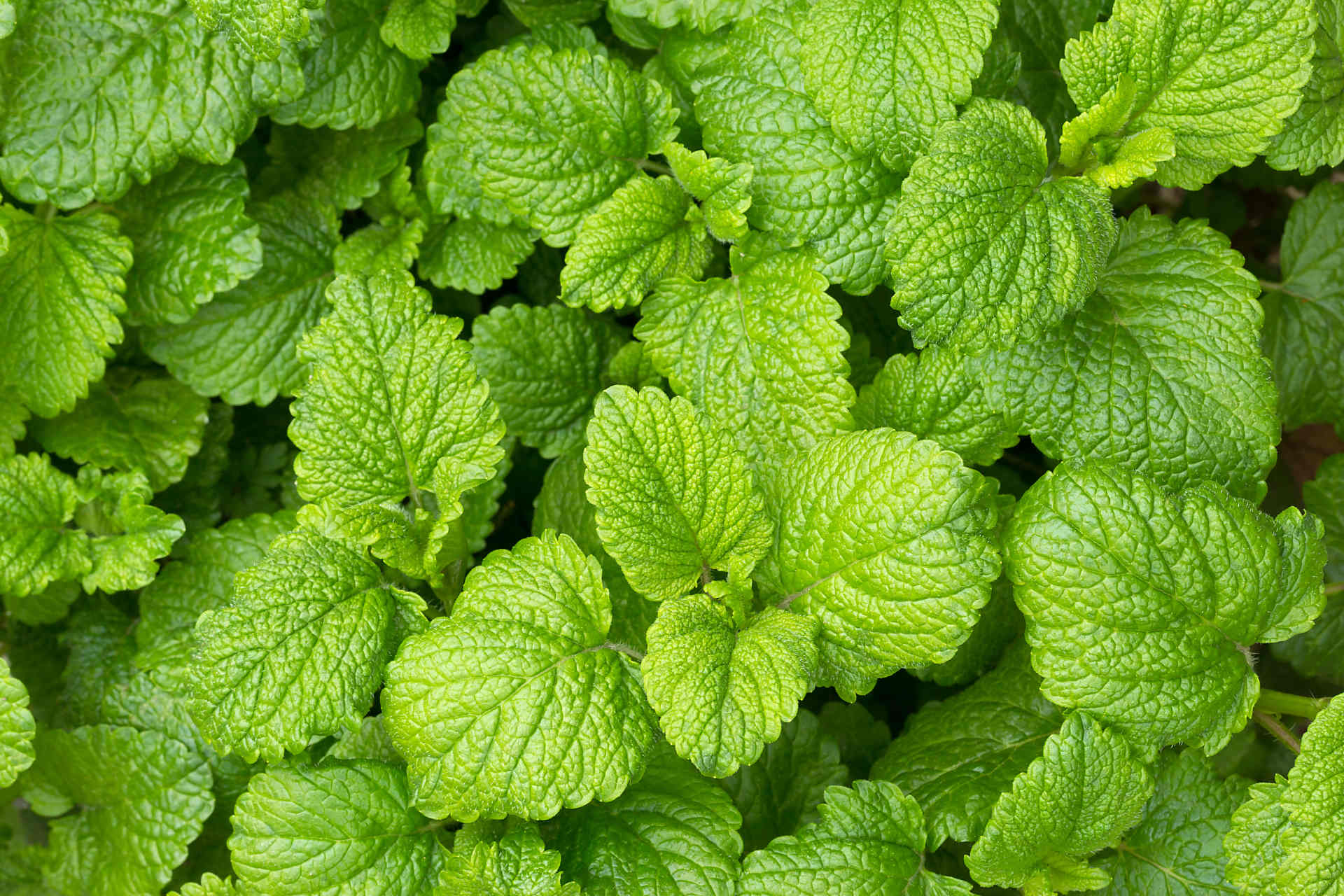 有用保湿成分のイメージ画像